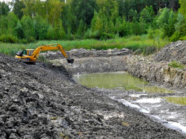 Fish Pond Digging in Santa Rosa