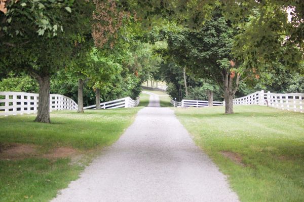 Gravel Driveway Construction in Santa Rosa