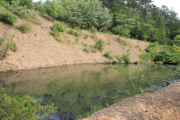 Pond Erosion Repair in Santa Rosa