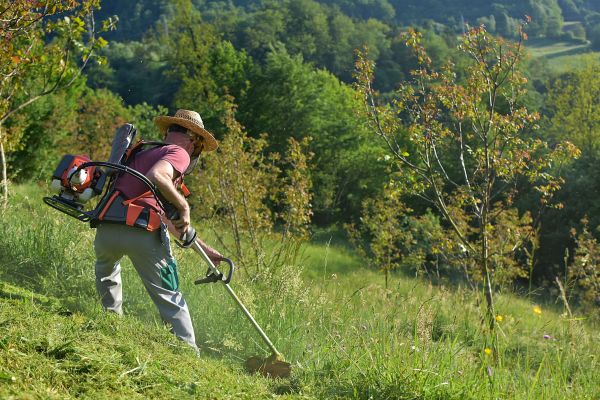 Cost of Slope Trimming in Santa Rosa