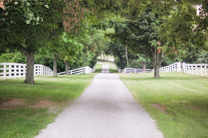 Driveway Site Preparation