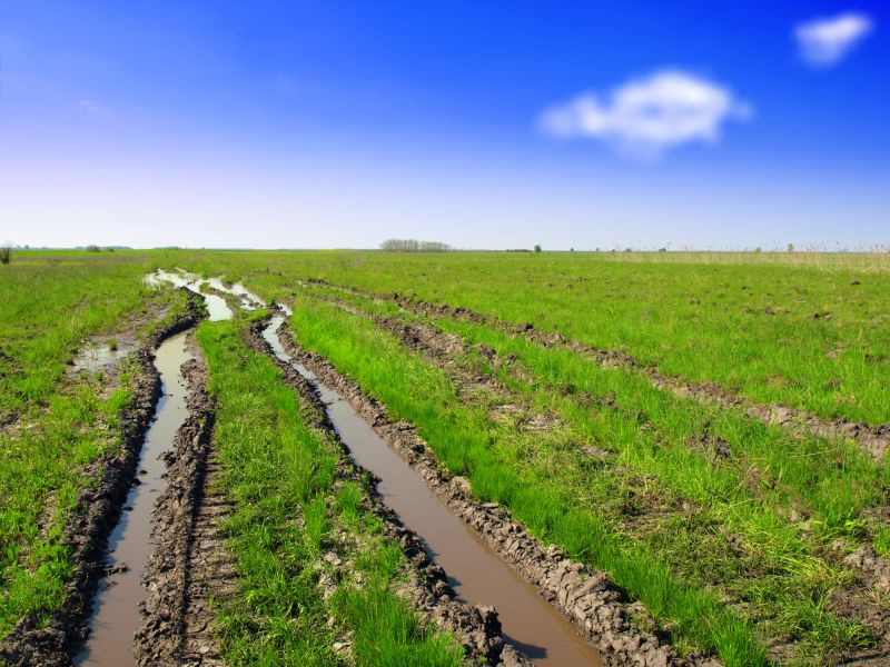 Dirt Leveling Service detail