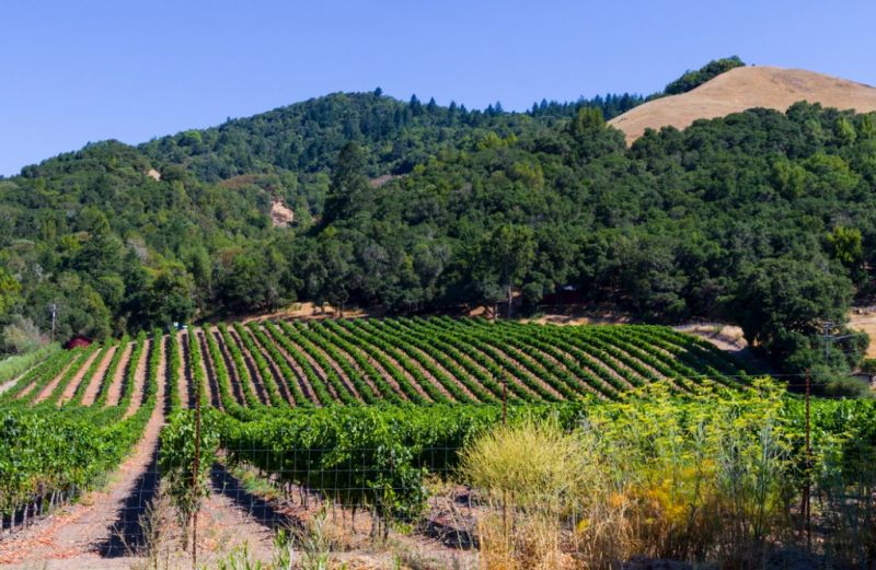 Experienced Property Assessors